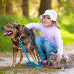 Child Petting Dogs